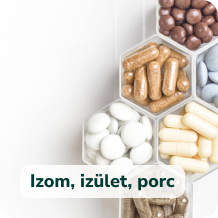 Izom, ízület, porc