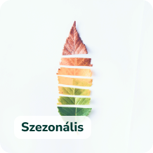 Szezonális