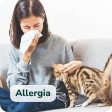 Allergia