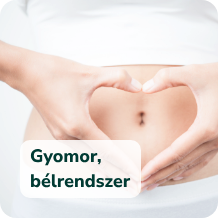 Gyomor, bélrendszer