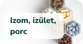 Izom, ízület, porc