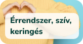 Érrendszer, szív, keringés