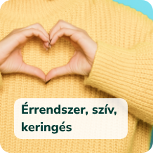 Érrendszer, szív, keringés