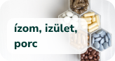 Izom, ízület, porc