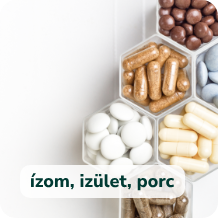 Izom, ízület, porc